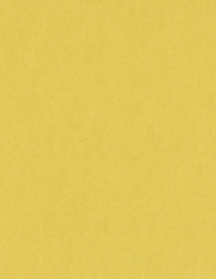 Bazzill Card Shoppe Heavyweight 8.5x11" Cardstock Packs