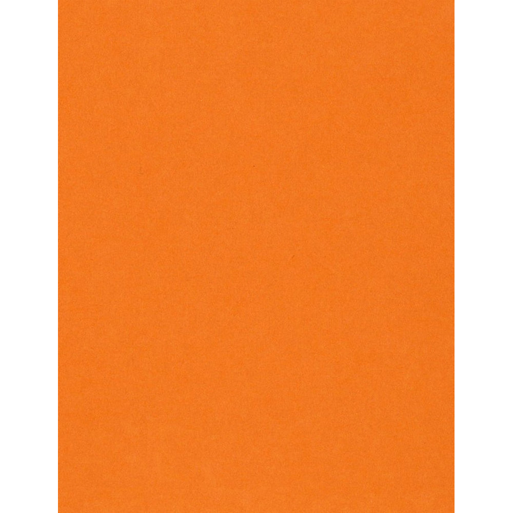 Bazzill Card Shoppe Heavyweight 8.5x11" Cardstock Packs