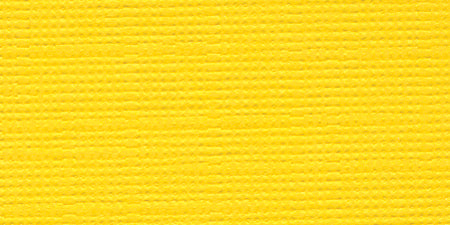 Bazzill Mono 12x12" Cardstock Packs