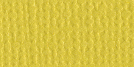 Bazzill Mono 12x12" Cardstock Packs