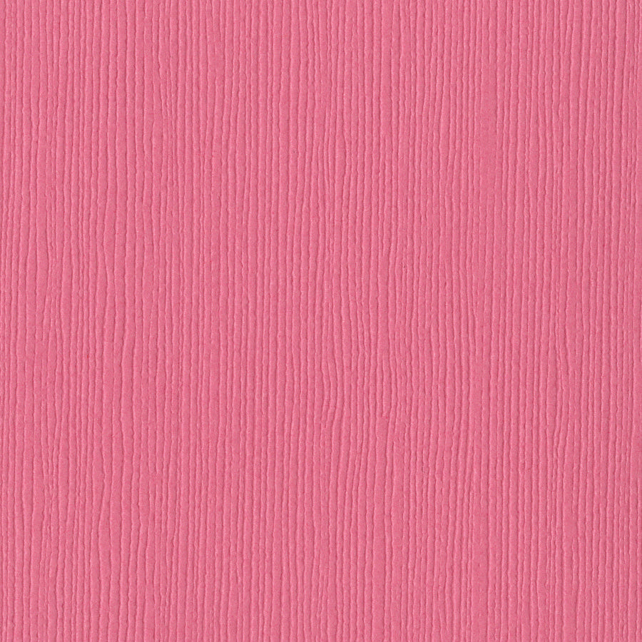 Bazzill Fourz 12x12" Cardstock Pack