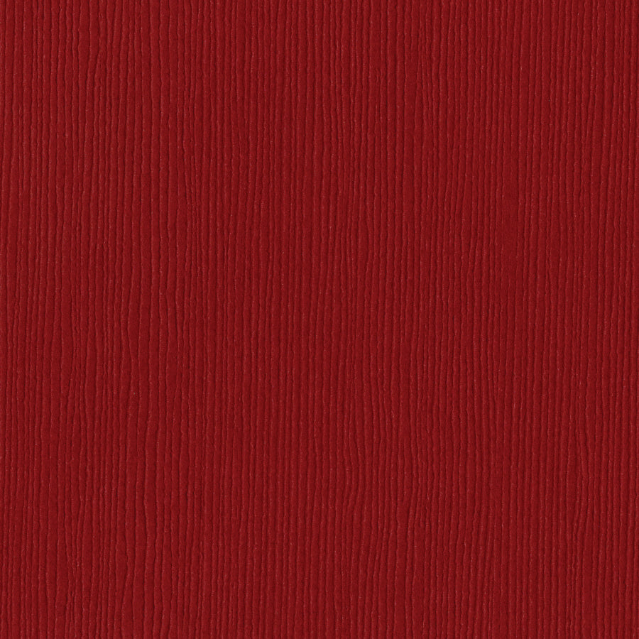 Bazzill Fourz 12x12" Cardstock Pack