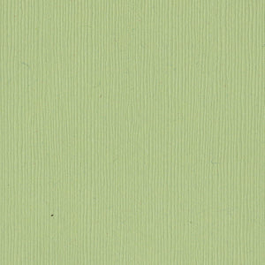 Bazzill Fourz 12x12" Cardstock Pack