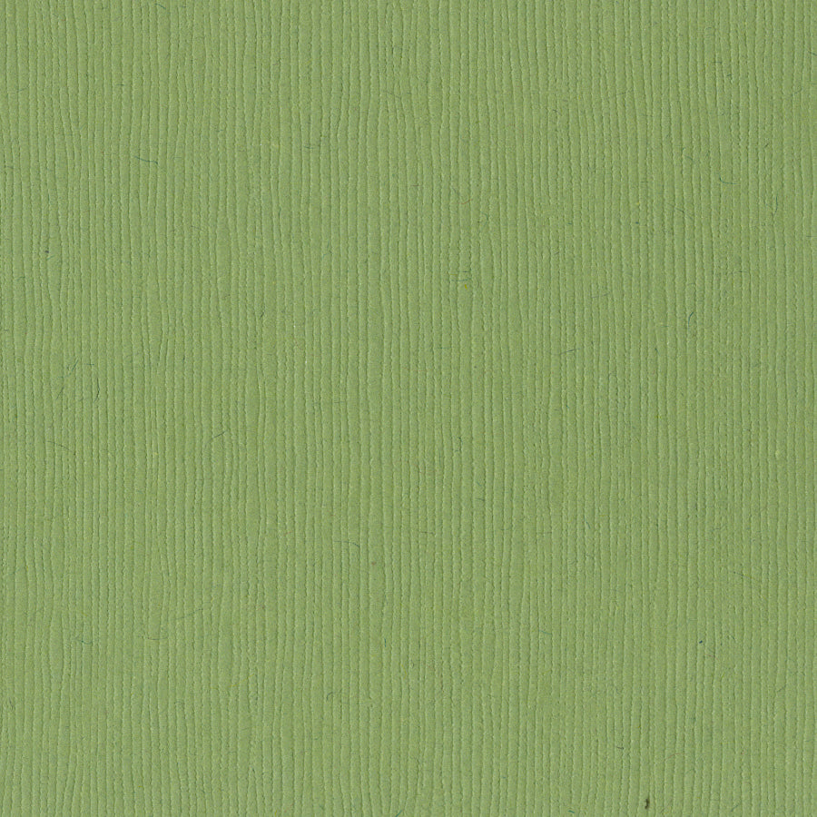 Bazzill Fourz 12x12" Cardstock Pack