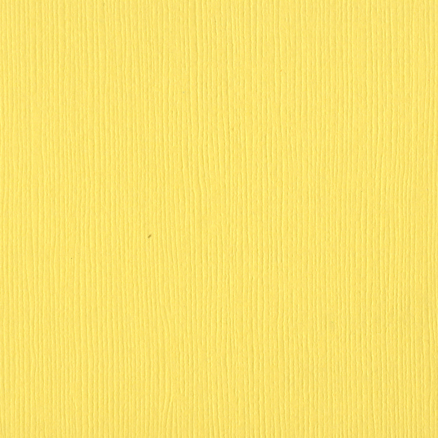 Bazzill Fourz 12x12" Cardstock Pack
