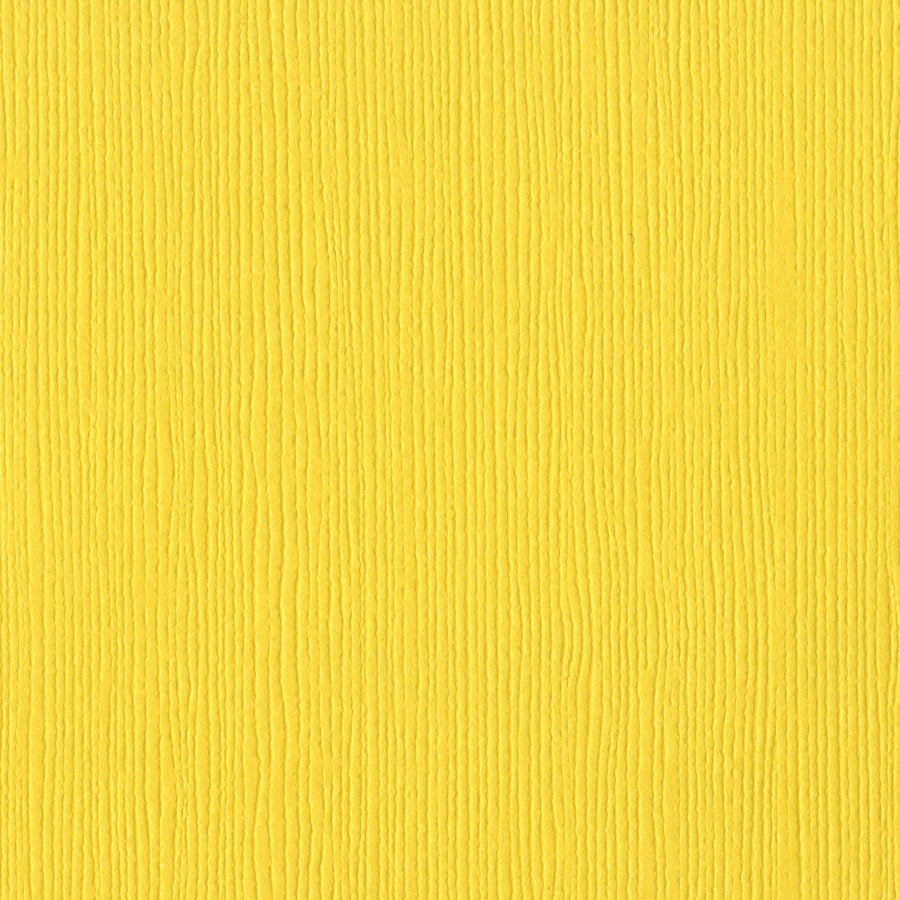 Bazzill Fourz 12x12" Cardstock Pack
