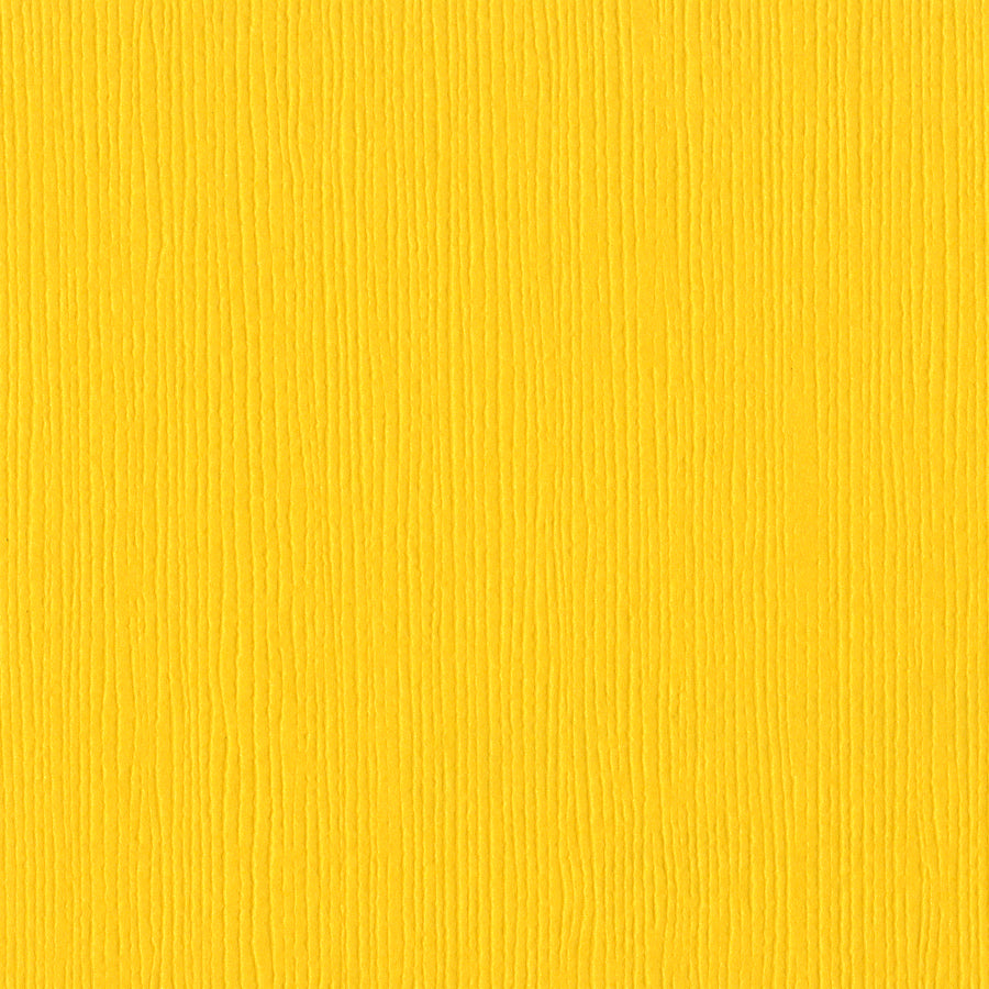 Bazzill Fourz 12x12" Cardstock Pack