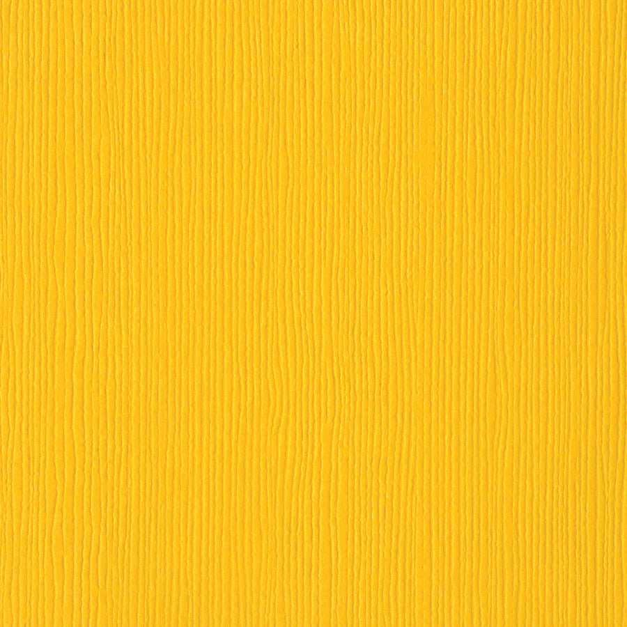 Bazzill Fourz 12x12" Cardstock Pack