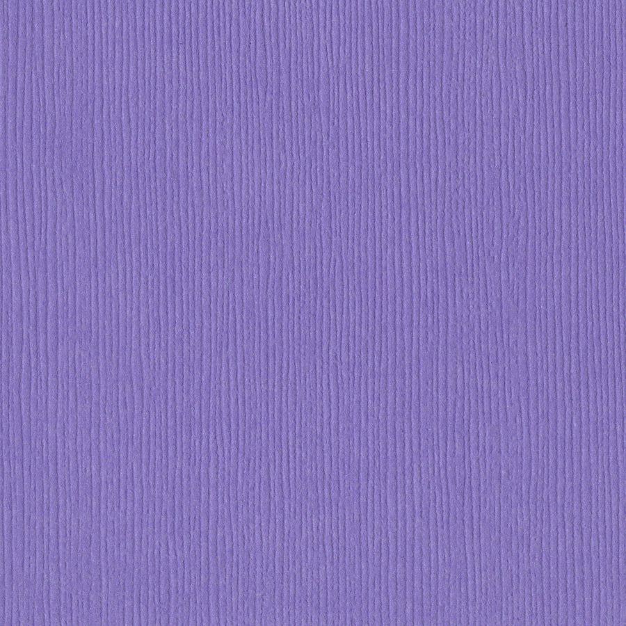 Bazzill Fourz 12x12" Cardstock Pack
