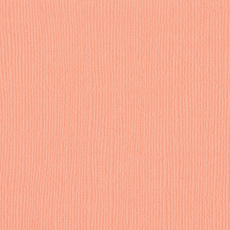 Bazzill Mono 12x12" Cardstock Packs