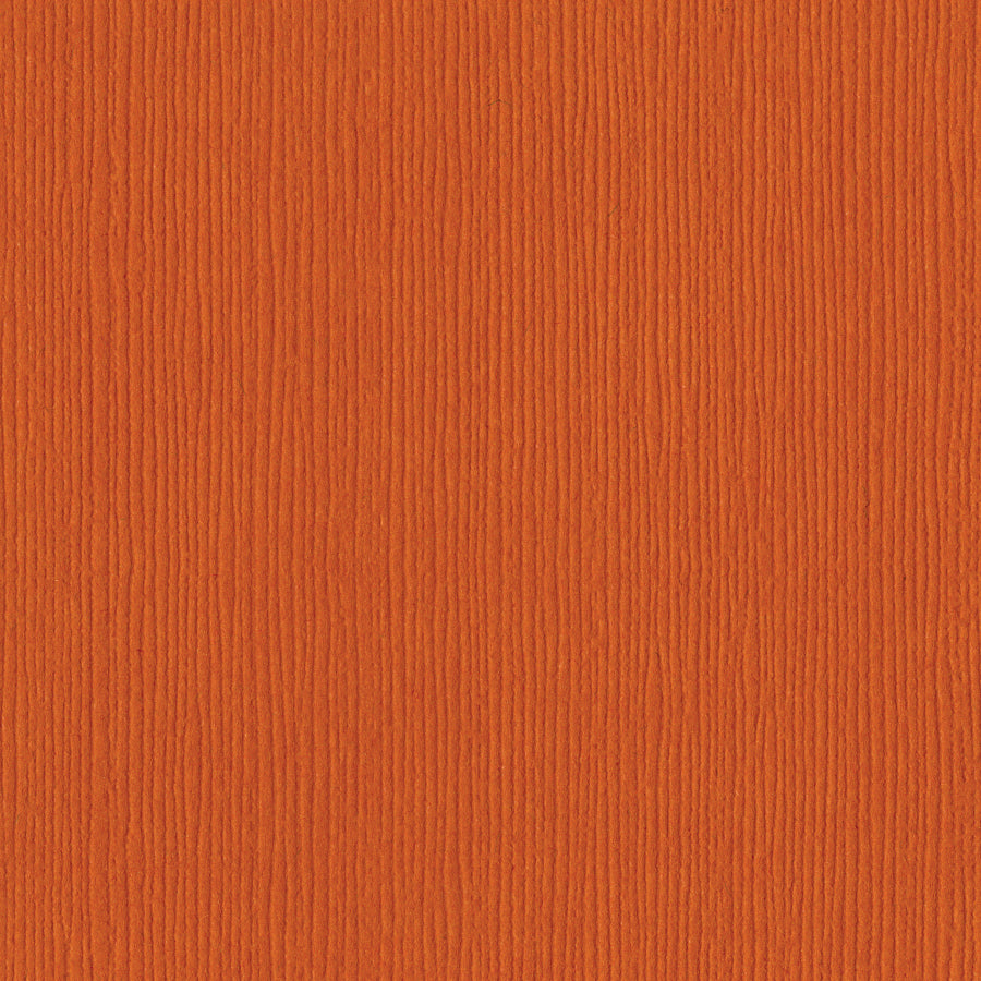 Bazzill Fourz 12x12" Cardstock Pack