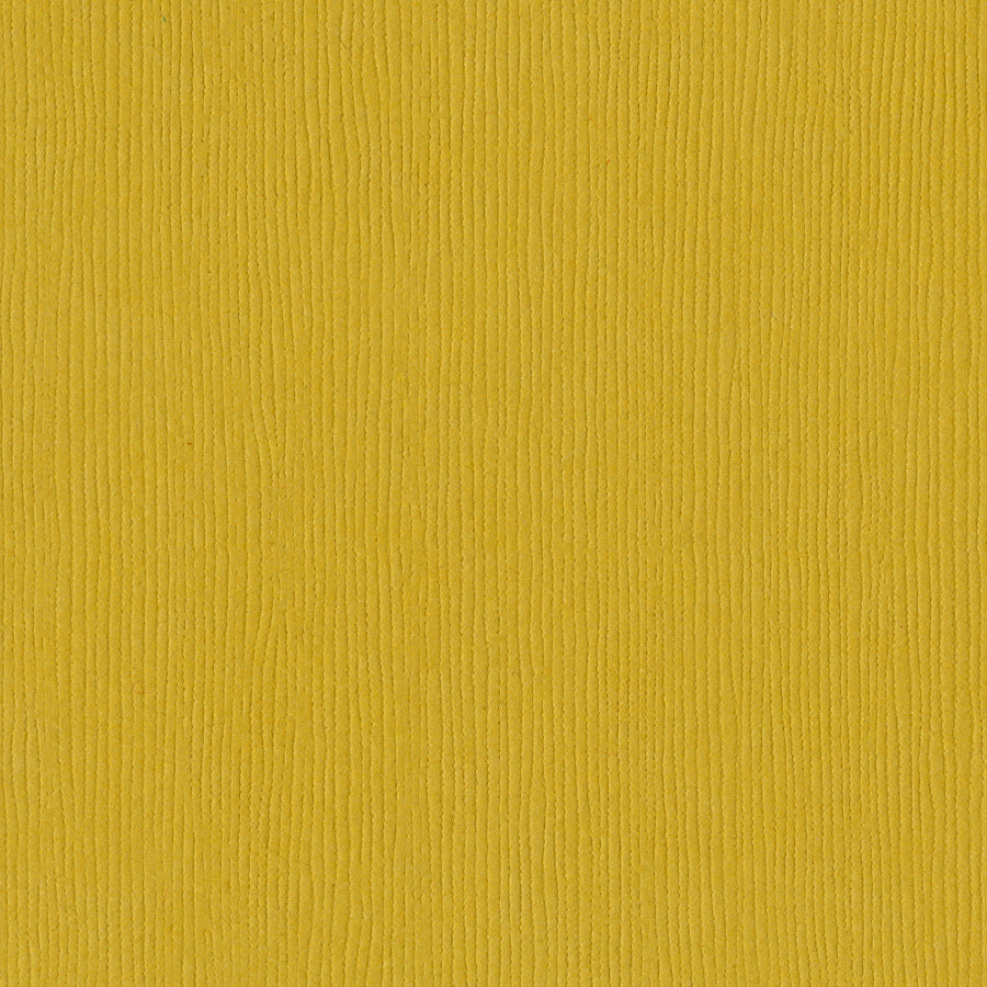 Bazzill Fourz 12x12" Cardstock Pack