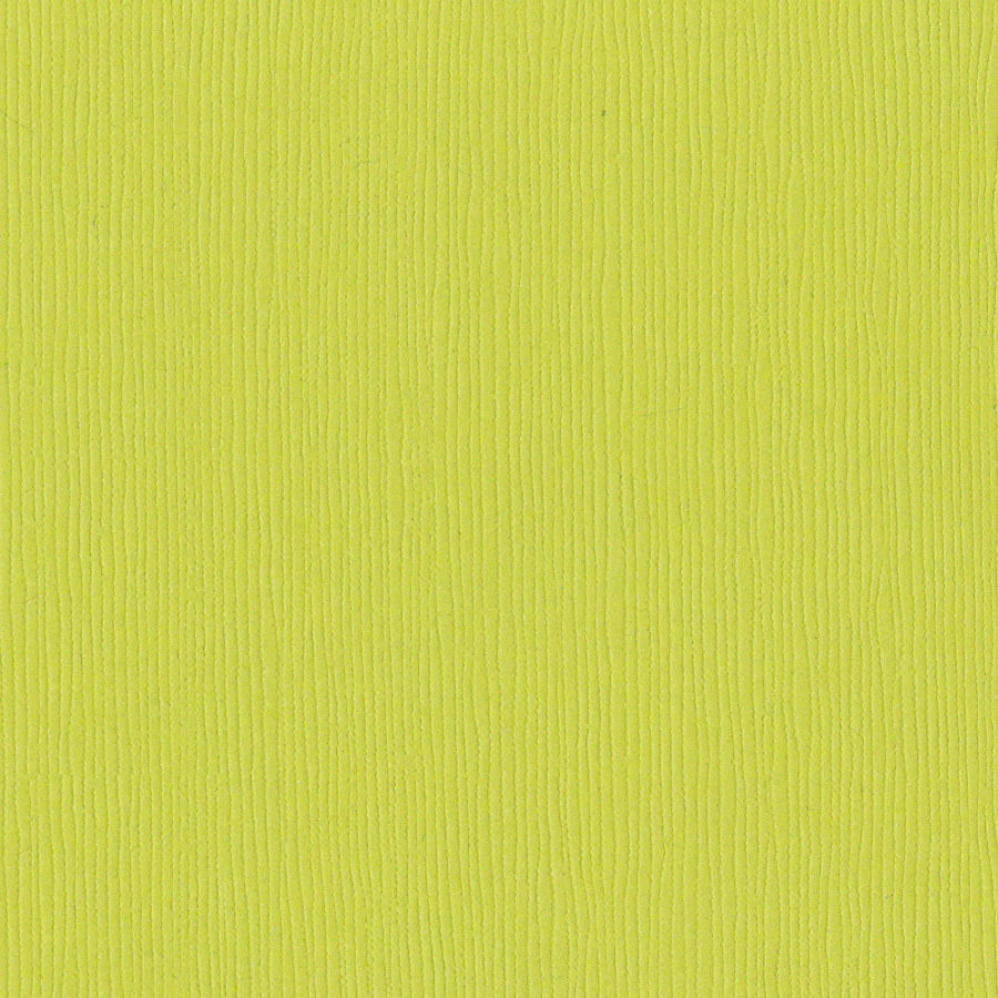 Bazzill Fourz 12x12" Cardstock Pack