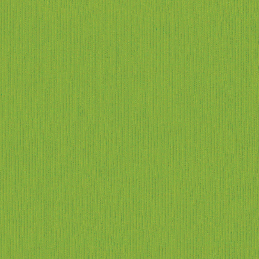 Bazzill Fourz 12x12" Cardstock Pack