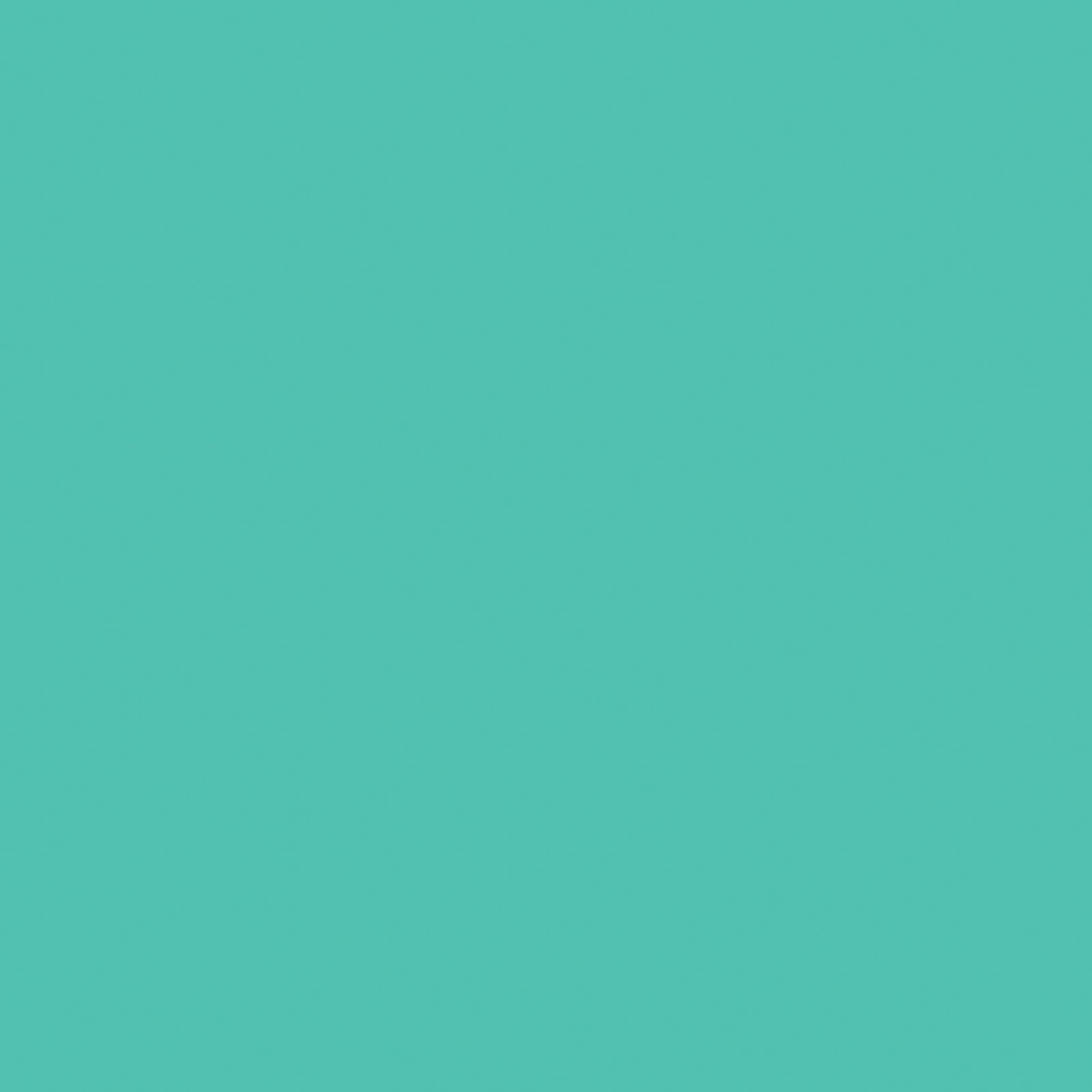 Bazzill Card Shoppe Heavyweight 12x12" Cardstock Packs