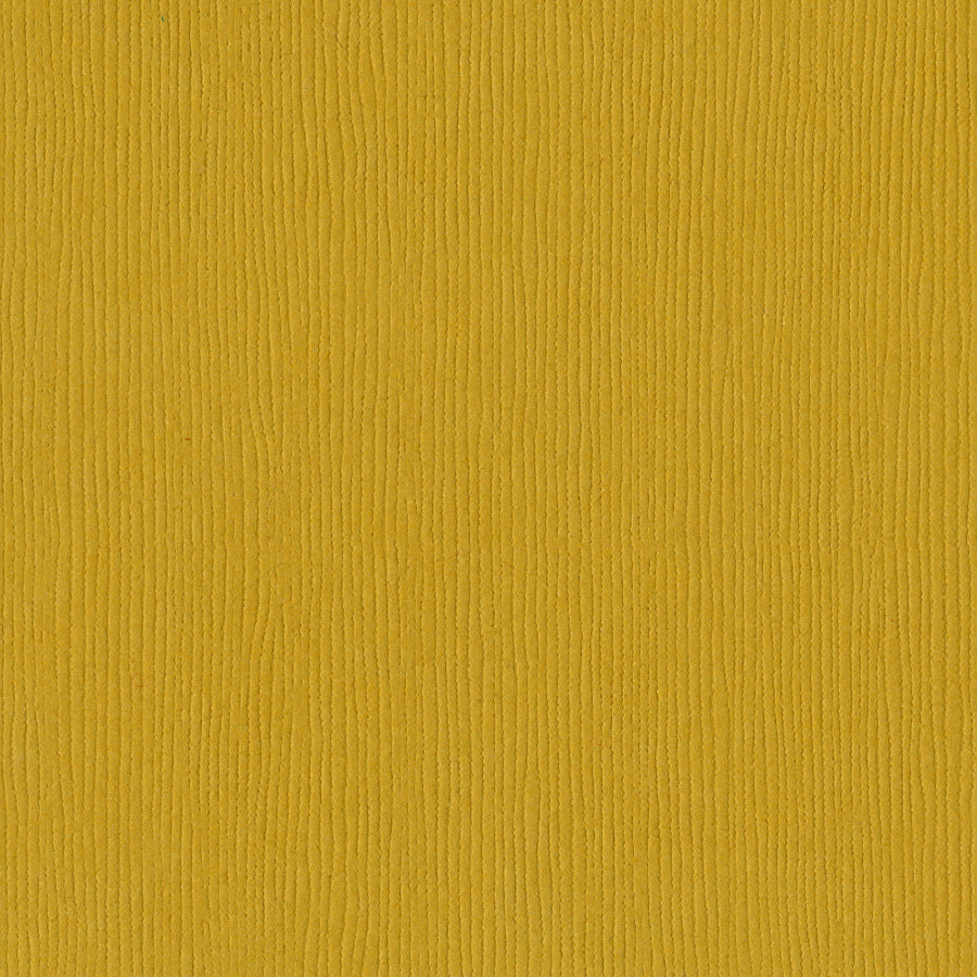 Bazzill Fourz 12x12" Cardstock Pack