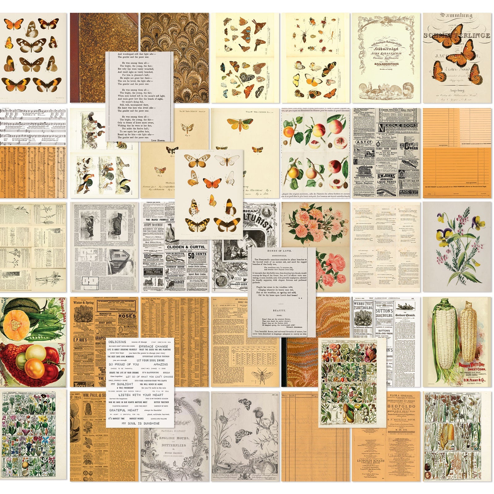 49 And Market 6x8" Collage Sheets Sets