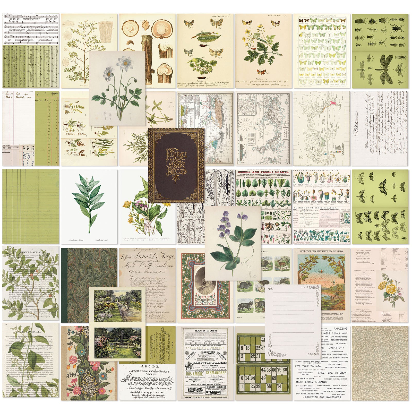 49 And Market 6x8" Collage Sheets Sets